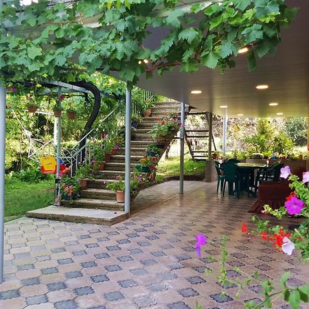Valiko House In Telavi Hotel Exterior foto